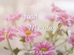 The good morning flower images are a symbol of positivity. Color Flower Wallpaper Good Morning