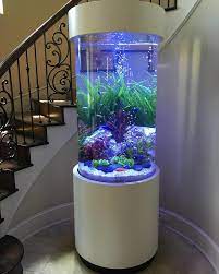 pin on house decor things