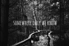The Picture In The Lyric Somewhere Only We Know Where Have You Gone Life