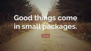 When a man is wrapped up in himself, he makes a pretty small package. Aesop Quote Good Things Come In Small Packages