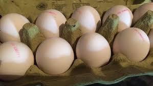 Eier Roh Essen Das Sollten Sie Beachten Focus De