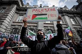 Manifestation palestine bruxelles 27 juillet 2014. C W 8nwncffaum