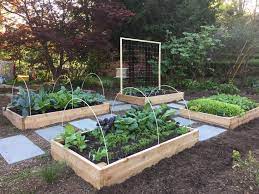Don't be afraid to think outside the box. Why You Should Plant A Front Yard Veggie Garden