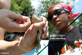 14 Schoolkids Go Fishing On The National Mall In Washington Photos & High  Res Pictures