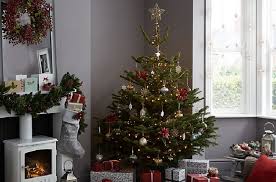 May blessings and peace of heart, be your rich gift from god, 1 thessalonians 1:1 5 Tips Jaga Pohon Natal Tetap Hidup Dan Segar Untuk Perayaan Tahun Baru Okezone Lifestyle