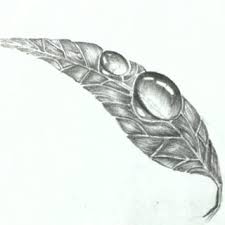 See more ideas about drawings, nature drawing, landscape drawings. Easy 3d Art Pencil Drawing How To Draw 3d Dew Drop On Leaf 5 Steps With Pictures Instructables