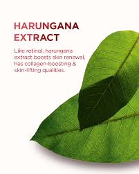 Image result for Harungana