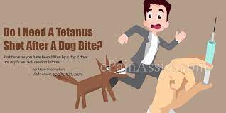 We did not find results for: Do I Need A Tetanus Shot After A Dog Bite