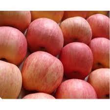 Maybe you would like to learn more about one of these? Sell Fuji Apples Sumber Pangan Sejahtera