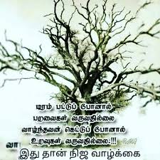 In 2020 Pictures Of Jesus Christ Jesus Pictures Tamil Love Quotes