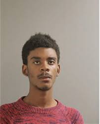 ᐅ Illinois Criminal Records 2009-2025