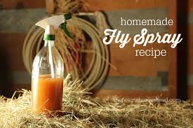 homemade fly spray recipe the prairie