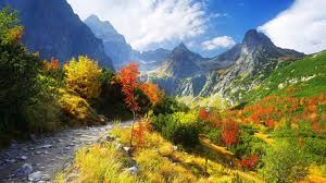 Using thanksgiving scenery 3d free download crack, warez, password, serial numbers, torrent, keygen. Free Download Autumn Scenery Wallpaper Autumn Nature Scenery Wallpapers 1366x768 For Your Desktop Mobile Tablet Explore 78 Thanksgiving Scenes Wallpaper Free Thanksgiving Wallpapers Happy Thanksgiving Wallpaper Thanksgiving Wallpaper Background