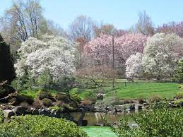 Planphilly A Community Vision For East And West Fairmount Park Blooming Trees Japanese House Landscape