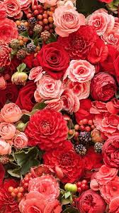 We did not find results for: Abstract Background Of Flowers Close Up Best Flower Wallpaper Red Flower Wallpaper Flower Phone Wallpaper