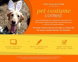 Enter The Collection S Pet Costume Contest Www Facebook Com Thecollectionatriverpark Pet Costumes Costume Contest Pet Dress