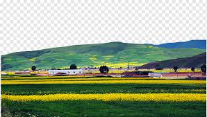 It supplies a view across a canal and the poplars on its. Van Gogh Museum View Of Arles With Irises In The Foreground View Of Arles Flowering Orchards Van Gogh Self Portrait Painting Landscape Grass Flower Png Pngwing