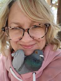 Bird nerd out with Palomacy All Stars in Walnut Creek, CA