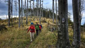 Társkereső őrbottyán 54 napja tag. Matraverebely Matrahaza Okt 20 Gyalogtura Outdooractive Com