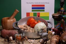 Pin On Experience Gambia