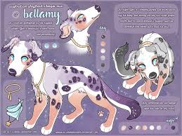 Over the course of time i have been asked repeatedly to make a lesso. Oc Bellamy By C Chimera On Deviantart Cute Animal Drawings Dog Design Art Canine Art