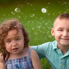 35 superposiciones de fotos de flores de diente de león, texturas de  superposición de fotografía, accesorios fotográficos, superposición de  Photoshop, fondo digital, archivo png