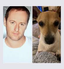 Jack Russell Photo challenge🐾