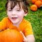 Nature Exploration Story Time (NEST) - Pumpkins - Lake Sunapee Protective Association (LSPA) - Center for Lake Studies, 63 Main St Event Image