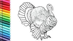 Hours of fun await you by coloring a free drawing animals turkey. Drawing And Coloring Turkey Farm Animals Names And Sound Color Pages For Kids Youtube