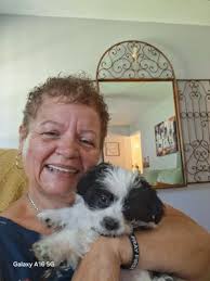 TOP 10 BEST Cleaning People in Fort Gregg-Adams, VA