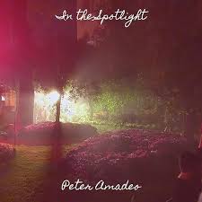 Play In the Spotlight by Peter Amadeo