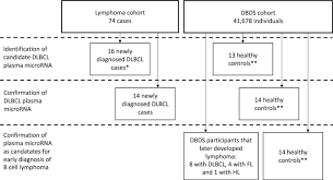 Abnormal lymphocytes, a type of white blood cell that fights infection, become lymphoma cells, which multiply and collect in your lymph nodes. The Value Of Circulating Micrornas For Early Diagnosis Of B Cell Lymphoma A Case Control Study On Historical Samples Scientific Reports