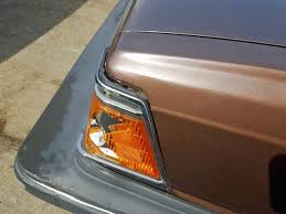 Image result for Brown 1984 Cressida