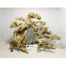 Old Tree Shape Of Driftwood Bonsai From Vietnamese Manufacturer Cheapest Price With High Quality Aquarium Driftwood Driftwood For Sale Tree Shapes