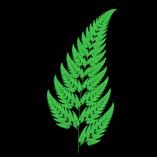 Create this fractal fern, using the following transformations: Barnsley Fern Rosetta Code