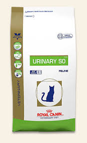 If your vet prescribed your cat a special diet, chewy has got you covered. Pin On Prescription Food
