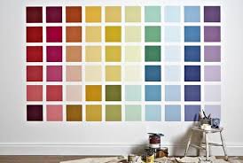 43 Genuine Delux Paint Chart