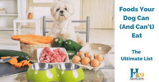With a sharp knife, slice the pork chop lengthwise, then dice the pieces. Foods Your Dog Can And Can T Eat The Ultimate List Highland Canine Professional Dog Training Solutions