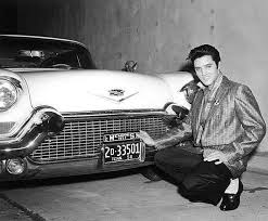 Image result for Regal Purple 1956 Wayne Works