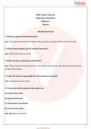 Important Questions For Cbse Class 9 Science Chapter 6 Tissues
