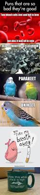 These Puns Are Gold Funny Puns Puns Jokes Funny