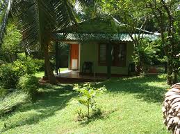 You can use it to look for nearby hotels and motels to book your accommodation for a holiday vacation or a business trip. Promo 75 Off Villa Jungle Sri Lanka Hotel Near Me Cheap Hotel Yosemite
