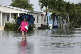 Get directions, reviews and information for hazard insurance agency in homestead, fl. Ap Exclusive Most Florida Flood Zone Property Not Insured