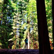 It was a very special match for occasional captain caia van maasakker. Caia Van Maasakker Goes The American Way