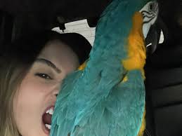 Ana Beatriz Stange (@bia_stange) • Instagram photos and videos