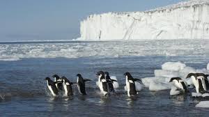 Apa echoners tahu di mana tempat sampah terbesar di lautan itu berada? Akhirnya 25 Negara Memutuskan Pembuatan Taman Laut Terbesar Dunia Di Sini Tribun Travel