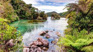 New zealand is home to one the world's longest and most ecologically significant sandspits and the day or night, you can indulge your love of nature and the great outdoors on new zealand's third. Nature New Zealand Wallpaper 34427