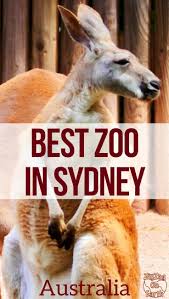 Best Zoo In Sydney Taronga Featherdale Park Wildlife Sydney Zoo Sydney Australia Travel Australia Travel Western Australia Travel