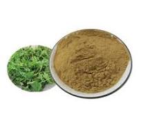 100 Mesh Wormwood Leaf Powder Herb Organic Mugwort Powder ...