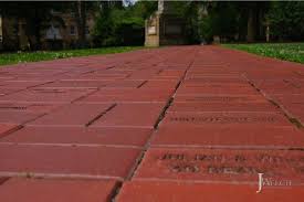 Walkway On The Horseshoe University Of South Carolina Campus Columbia South Carolina University Of South Carolina South Carolina Beautiful Places